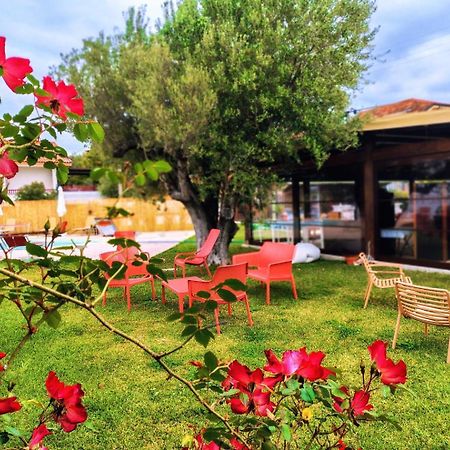 Victoria Resort Ascea Εξωτερικό φωτογραφία